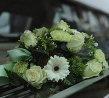 cremation services in Sterling Heights, MI 