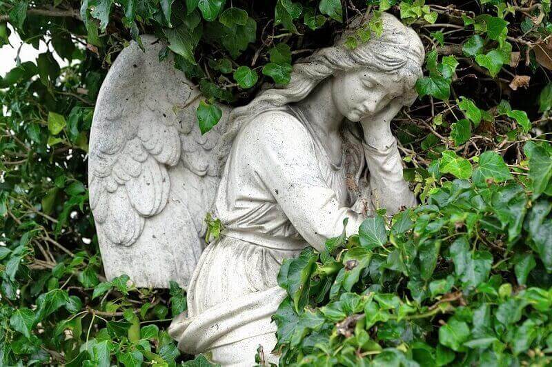 Funeral homes in Sterling Heights, MI