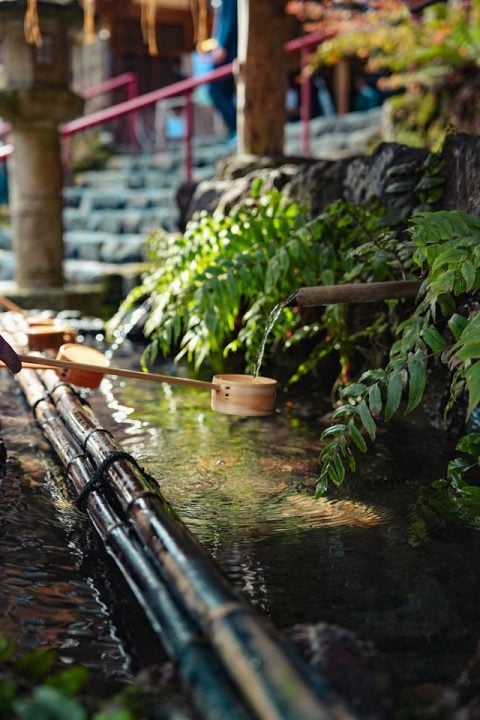 Trusted Cremation Planning Berkley MI Preneed Options