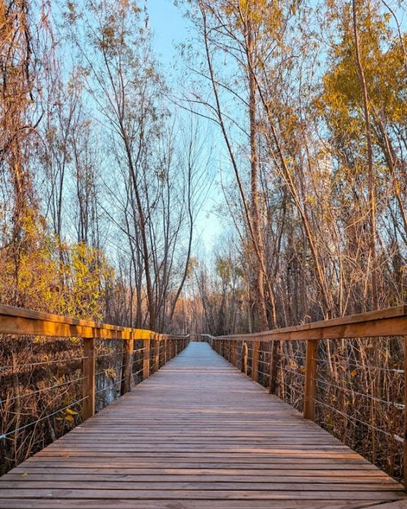 Compassionate Funeral Planning Support in Royal Oak, MI