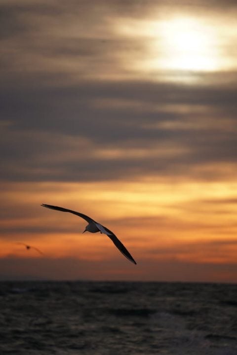 Expert Support for Managing Vital Funeral Documents and Legalities