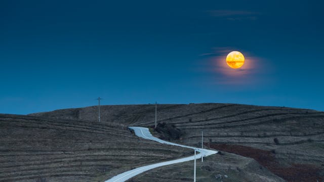 Managing Stress While Planning a Funeral in Royal Oak, MI