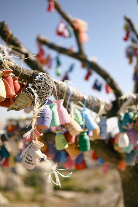 Colorful memorial pots on a tree for cremation services Sterling Heights, MI, honoring loved ones in a bright landscape.